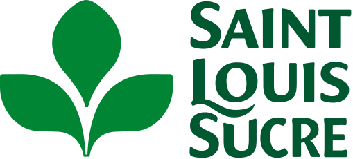 Logo Saint louis