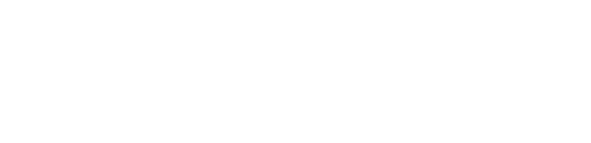 Logo Smint