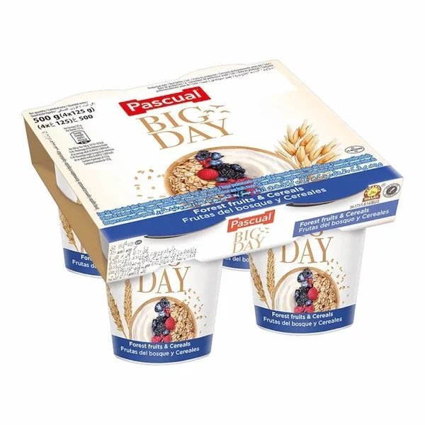 Pascual – Yaourt Big Day Fruits des Bois & Céréales 500 g