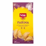 Schar Mix It Farine Sans Gluten Polyvalente 1Kg