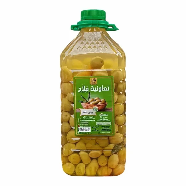 Olives de Béni Mellal sans soude 1kg